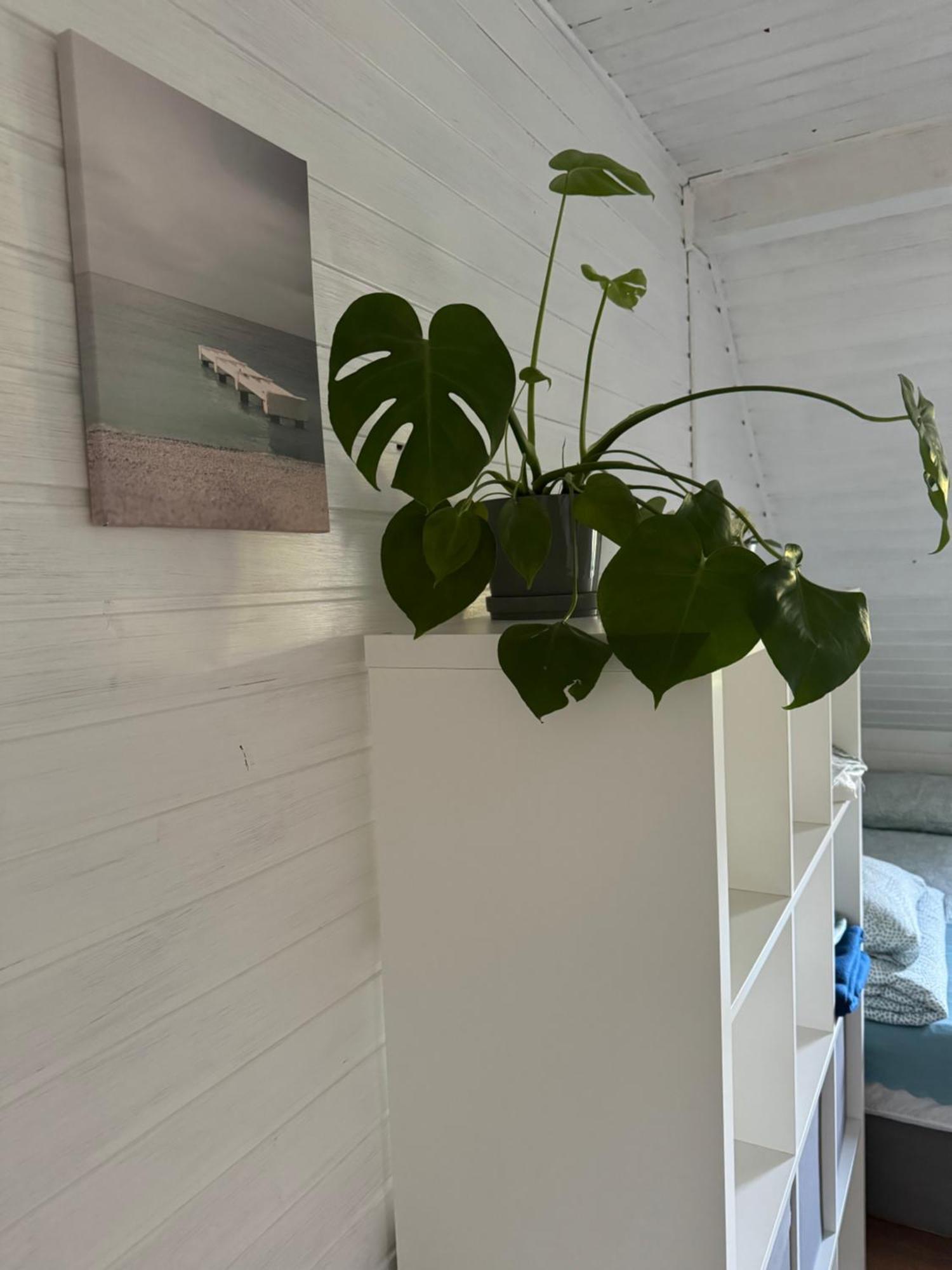 48C Domki Letniskowe I Apartament โปเบียโรโว ภายนอก รูปภาพ
